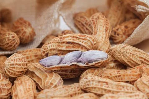 Close up of boiled peanuts on sack burlap Stock Photos