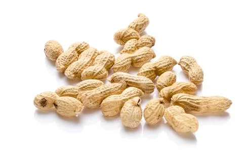 Close-up of Boiled peanuts, snack 写真素材