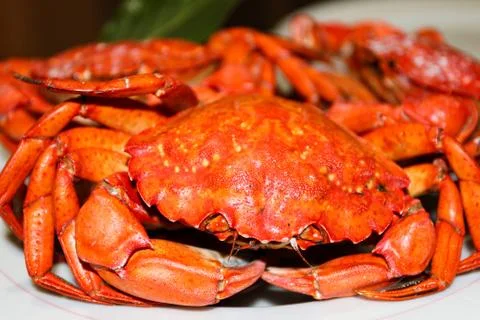 Close-up boiled red crabs, selective focus, seafood Stock Photos