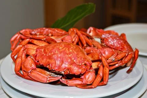 Close-up boiled red crabs, selective focus, seafood Stock Photos