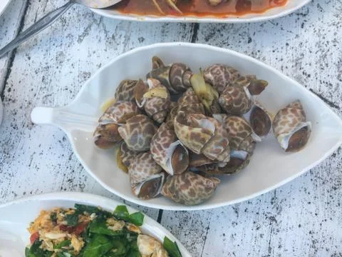 Close up of boiled shell on white plate Stock Photos