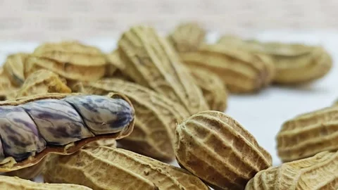 Close-up of boiled tiger peanuts on white. Stock Footage 339991041