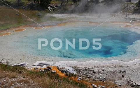 Close up of the boiling Celestine Pool at Lower Geyser Basin at Yellowstone N Stock Photos