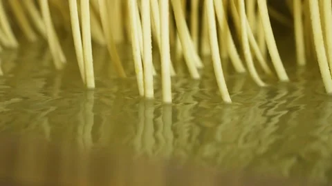 Close Up of Boiling Strings of Spaetzle Noodle in a Factory in Slow Motion Stock Footage 255654506
