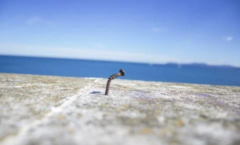 A close-up of a bolt driven into a stone Fotos de archivo