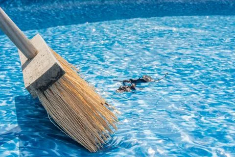 Close-up of a bone when sweeping leaves and spins when cleaning a garden pool Stock Photos