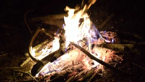 Close up of bonfire burning with glowing embers at night Stockbeeldmateriaal 345619797