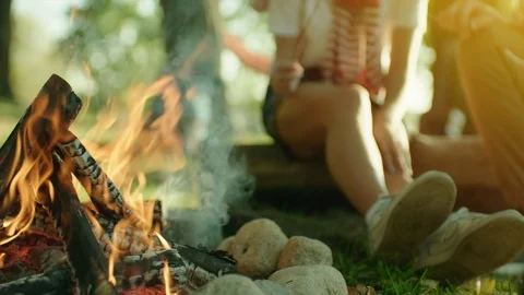 Close up of bonfire in camping on summer holidays Stock Footage 96244450