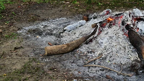 Close up a bonfire in the countryside. Stock-Footage 155669364