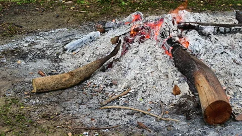 Close up a bonfire in the countryside. Stock-Footage 155721101