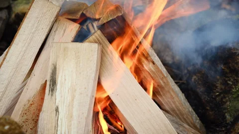 Close up of bonfire at early spring forest Stock Footage 309031632