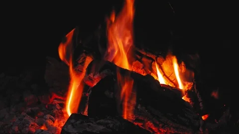 Close up bonfire flames of camping fire 4K Stock Footage 99852702