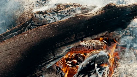 Close up bonfire flames of camping fire, Super slow motion burning firewood. Video stock 108119458