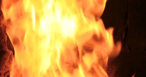 Close up bonfire flames of camping fire Stock Footage 108823841