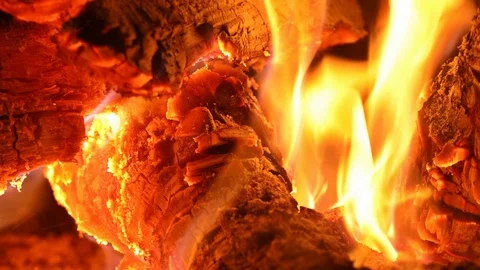 Close up bonfire flames of camping fire burning firewood. Stock Footage 113905530