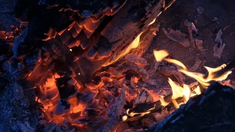 Close up bonfire flames of camping fire, Super slow motion burning firewood. Stock Footage 115054118