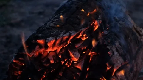 Close up bonfire flames of camping fire, Super slow motion burning firewood. Stock Footage 115054413
