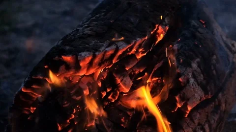 Close up bonfire flames of camping fire, Super slow motion burning firewood. Stock Footage 115054474