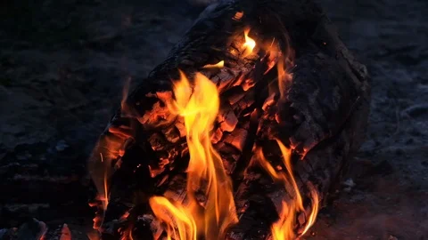 Close up bonfire flames of camping fire, Super slow motion burning firewood. Stock Footage 115054639