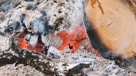 Close up bonfire flames of camping fire, Super slow motion burning firewood. Stock Footage 115057037