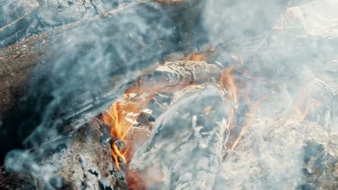 Close up bonfire flames of camping fire, slow motion burning firewood. Fire Video stock 115101791