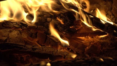 Close up bonfire flames of camping fire, Firewood Stock Footage 118330531