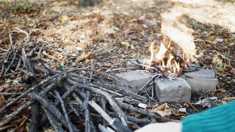Close up bonfire flames of camping fire. Burning firewood at dusk in forest. Stock Footage 118464232