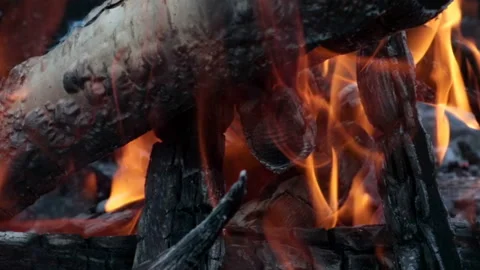 Close up bonfire flames of camping fire Video stock 130740536