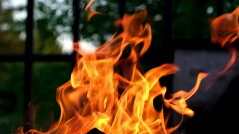 Close up bonfire flames of camping fire, Slow motion. Burning firewood fire. Video stock 156042818