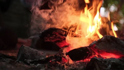 Close up bonfire flames of camping fire outdoors Stock Footage 224791073