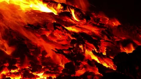 Close-up of a bonfire. Video stock 77689268