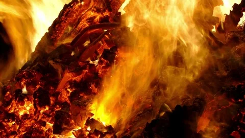 Close-up of a bonfire. Video stock 77689650