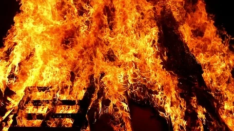 Close-up of a bonfire. Video stock 77951069