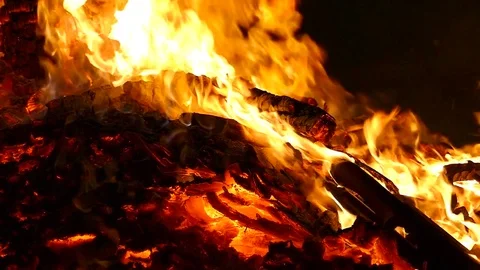 Close-up of a bonfire. Video stock 77952479