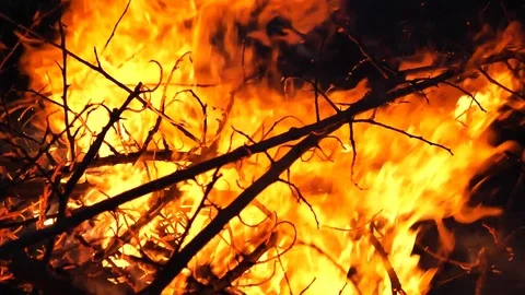 Close up of the bonfire Stock Footage 90944636