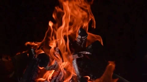 Close-up of a bonfire Stock Footage 141610581