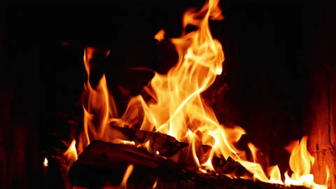 Close-up of the bonfire Stock Footage 169011050