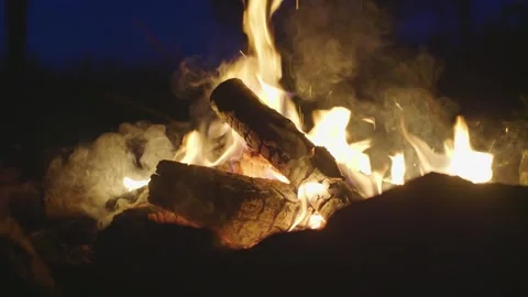 Close-up of bonfire in the forest at night. Campfire late in the evening. Stock Footage 277698570