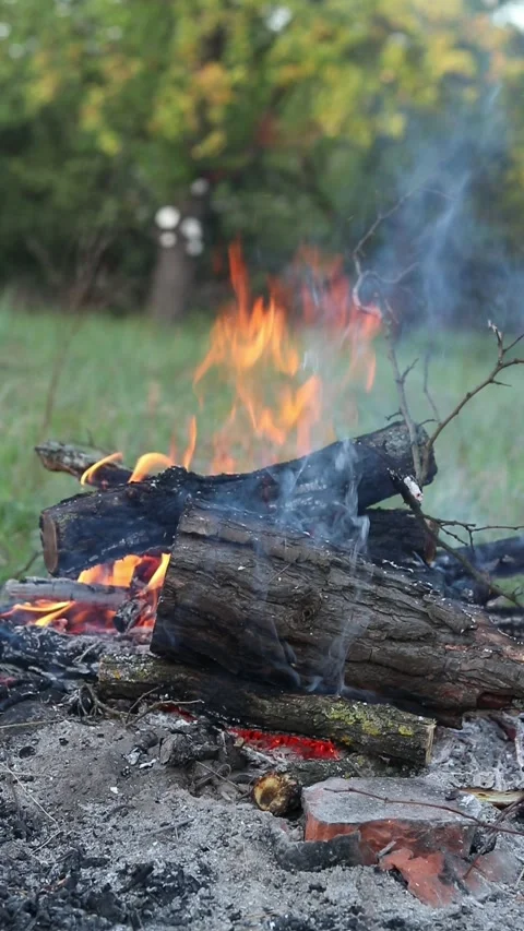Close-up of a bonfire in nature in the evening Vídeos de archivo 344265955