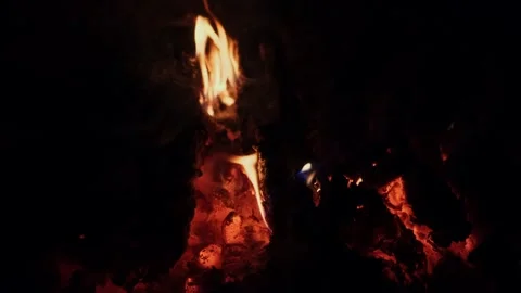 Close-up of bonfire in the night. Stock Footage 247891033