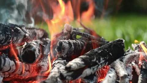 Close up of bonfire from old branches on sunny summer or spring day Stock Footage 241580706