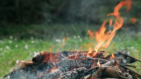 Close up of bonfire from old branches on sunny summer or spring day Stock Footage 241581547