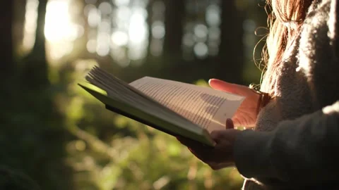 Close up of book pages being turned in golden lit forest 库存影片 221949351