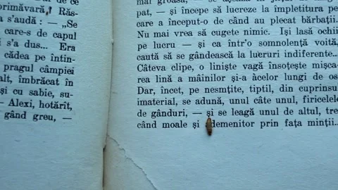 Close Up of a Bookworm Going Down an Old Open Book Stock Footage 310399063