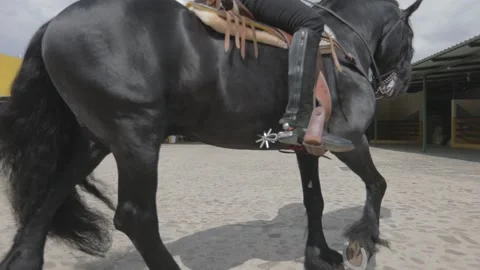 Close up of the boot of a cowboy riding a black horse Stock Footage 159614435