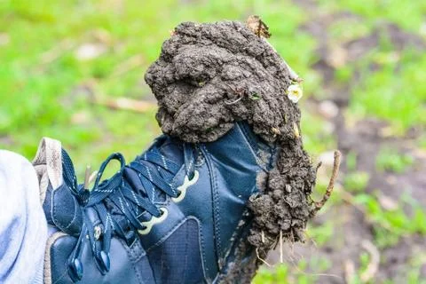 Close up boot with dry mud Stock Photos