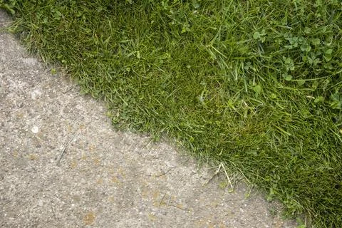 Close up border of concrete surface and green lawn. Stock Photos