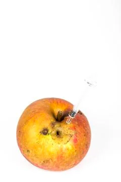 Close up Boring trace of a codling moth Cydia Pomonella, in a wormy apple. On Stock Photos