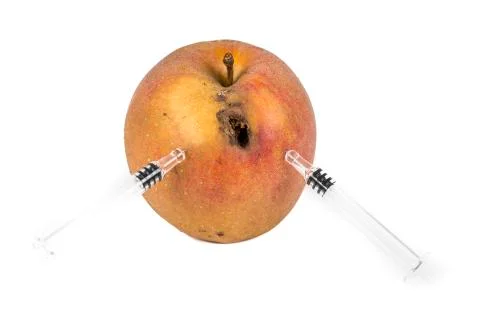 Close up Boring trace of a codling moth Cydia Pomonella, in a wormy apple. On Foto stock