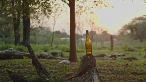 Close-up of a bottle breaking by a stone in the countryside on an afternoon Stock Footage 282936627